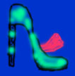 tongue in shoe